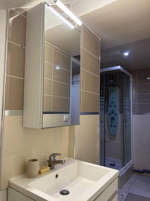 Cosy Studio - 10 Min Away From Cdg Aeroport - 30 Min Away From Paris - Parc Asterix - Olympic Games 2024 Le Thillay Exteriér fotografie